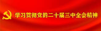 學習貫徹黨的二十屆三中全會精神